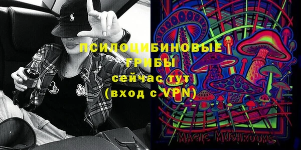 ECSTASY Ладушкин