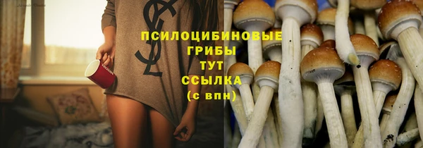 скорость Лагань