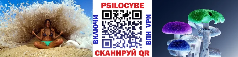 Купить где  Котельнич  Псилоцибиновые грибы MAGIC MUSHROOMS 