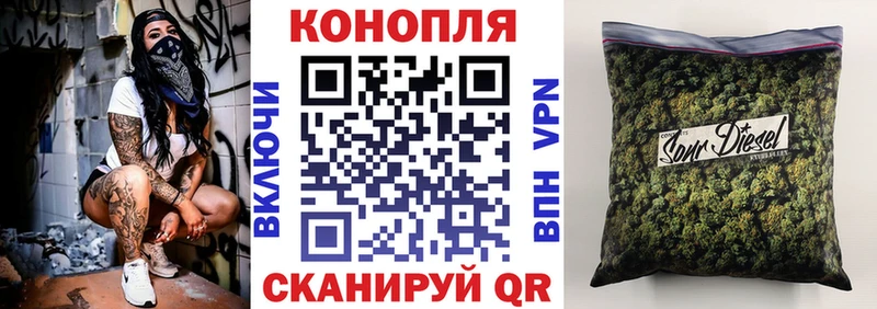 Купить  Котельнич  Канабис SATIVA & INDICA 